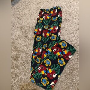 Colorful Parrot Print  Leggings